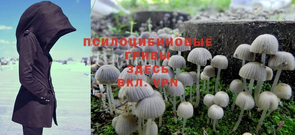 ГАЛЛЮЦИНОГЕННЫЕ ГРИБЫ Михайловск