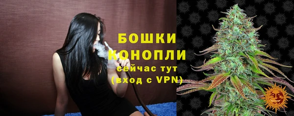 прущие крисы Медвежьегорск