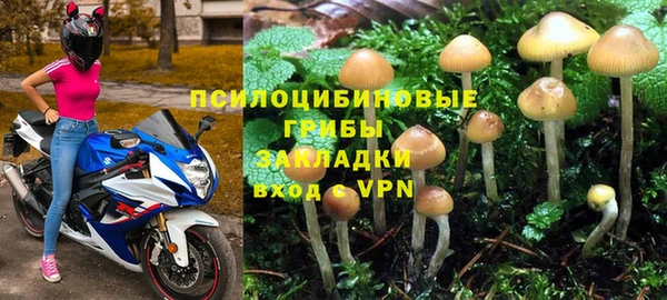 прущие крисы Медвежьегорск