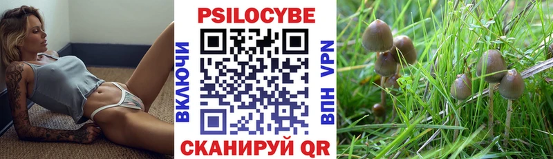 Псилоцибиновые грибы прущие грибы  Чапаевск 