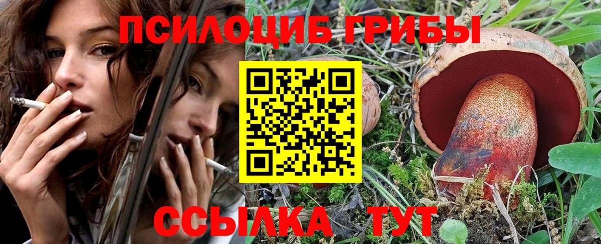 Галлюциногенные грибы мицелий Чапаевск